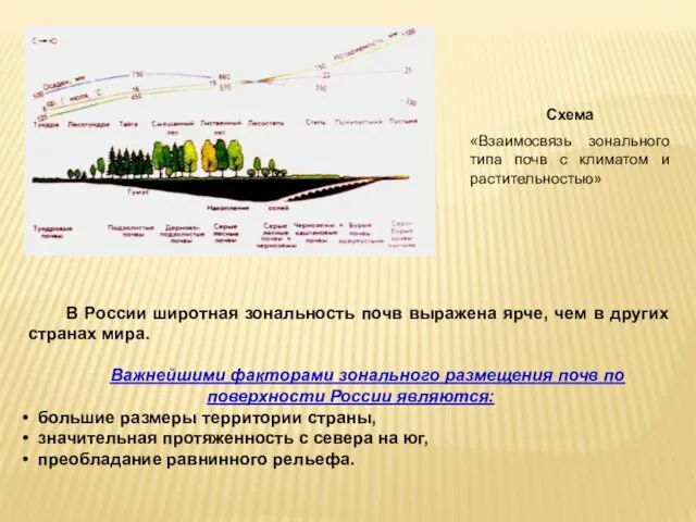 В России широтная зональность почв выражена ярче, чем в других