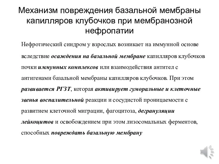 Механизм повреждения базальной мембраны капилляров клубочков при мембранозной нефропатии Нефротический