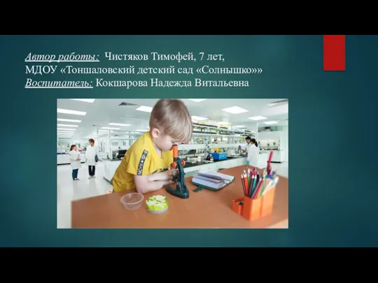 Автор работы: Чистяков Тимофей, 7 лет, МДОУ «Тоншаловский детский сад «Солнышко»» Воспитатель: Кокшарова Надежда Витальевна