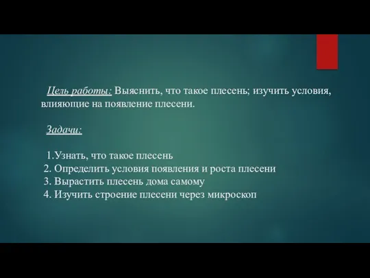 Цель работы: Выяснить, что такое плесень; изучить условия, влияющие на