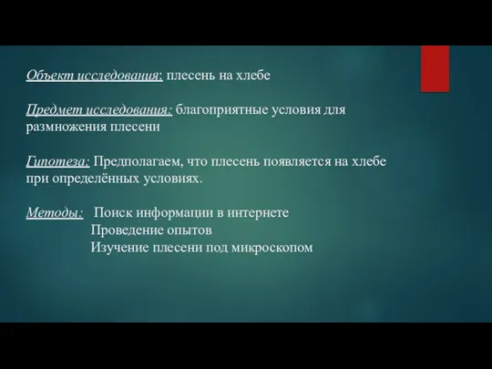 Объект исследования: плесень на хлебе Предмет исследования: благоприятные условия для