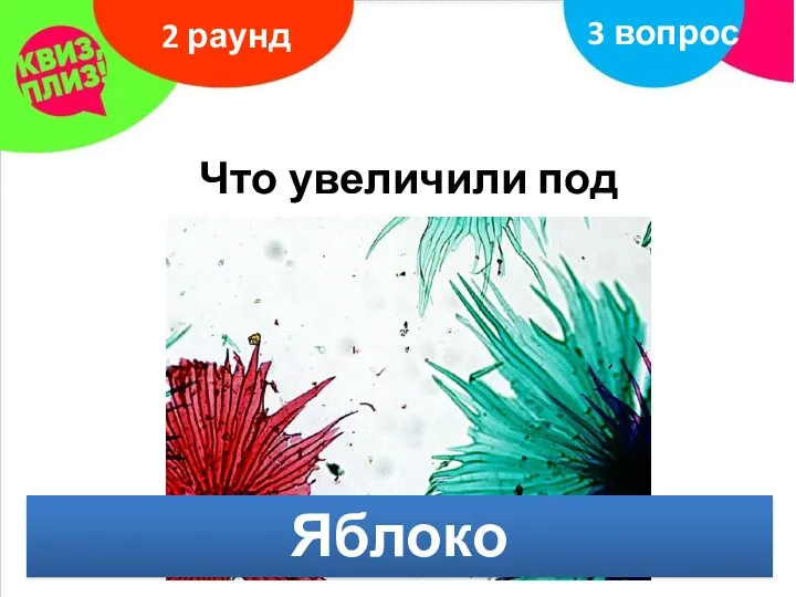 Что увеличили под микроскопом? 2 раунд 3 вопрос Яблоко