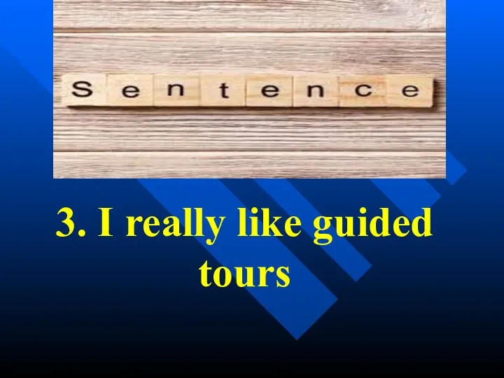 3. I really like guided tours