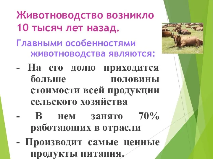 Животноводство возникло 10 тысяч лет назад. Главными особенностями животноводства являются: - На его