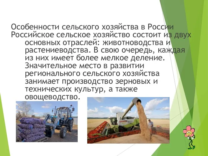 Особенности сельского хозяйства в России Российское сельское хозяйство состоит из двух основных отраслей: