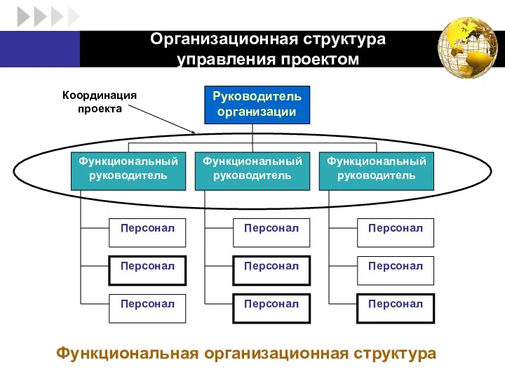 Организационная структура управления проектом Функциональная организационная структура