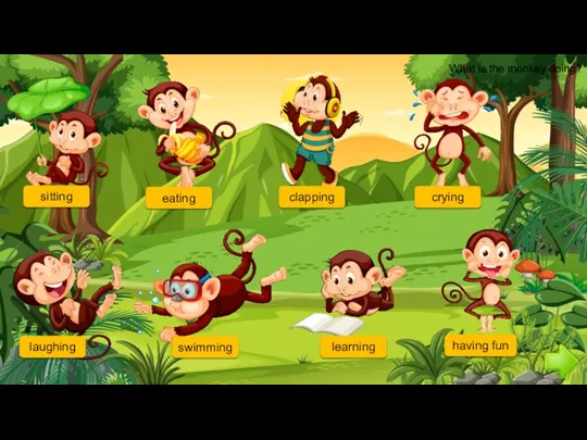 What is the monkey doing? sitting eating clapping crying laughing having fun learning swimming