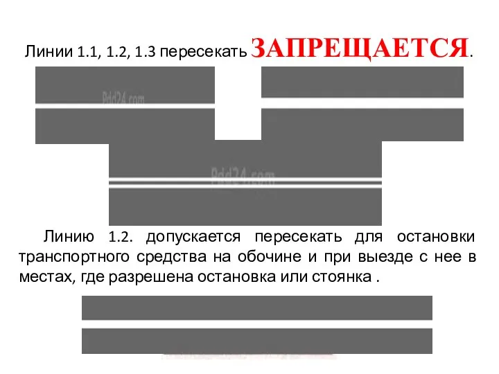 Линии 1.1, 1.2, 1.3 пересекать ЗАПРЕЩАЕТСЯ. Линию 1.2. допускается пересекать