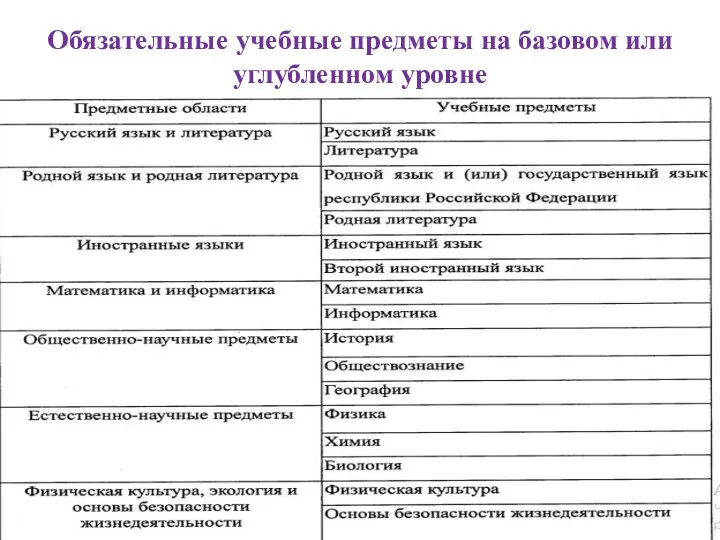 Обязательные учебные предметы на базовом или углубленном уровне