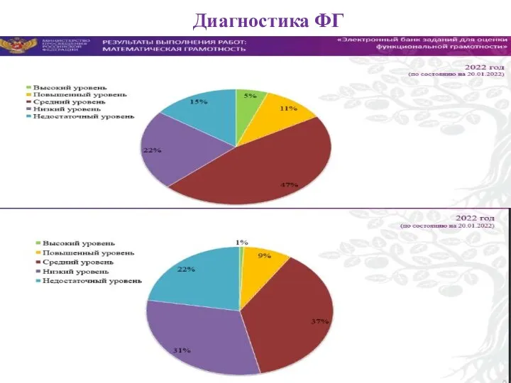 Диагностика ФГ