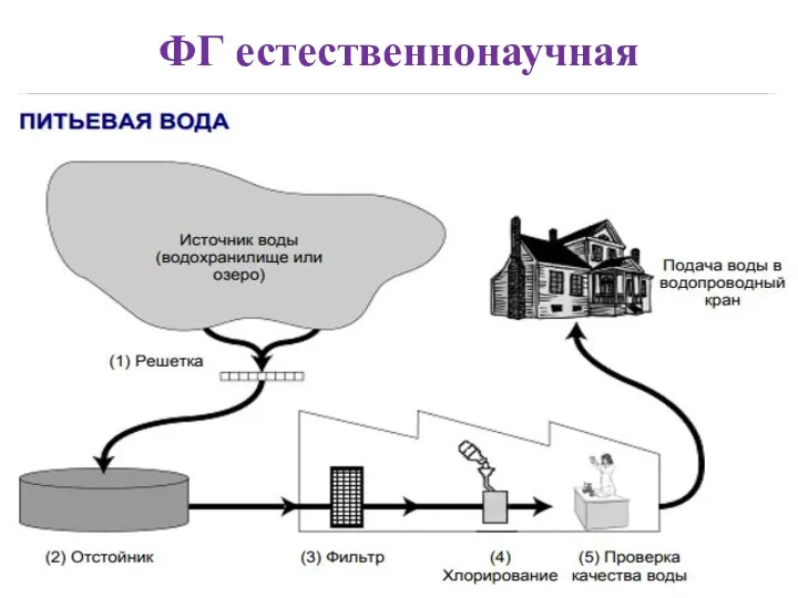 ФГ естественнонаучная