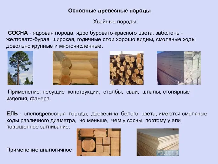 Основные древесные породы Хвойные породы. СОСНА - ядровая порода, ядро буровато-красного цвета, заболонь