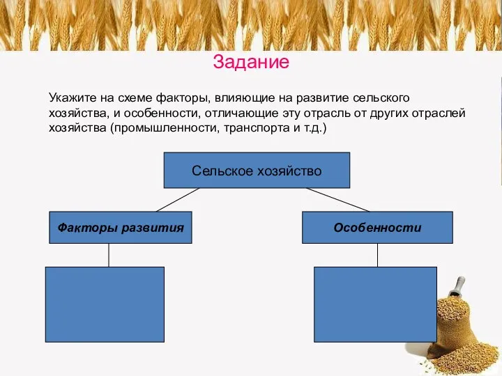 Задание Укажите на схеме факторы, влияющие на развитие сельского хозяйства, и особенности, отличающие