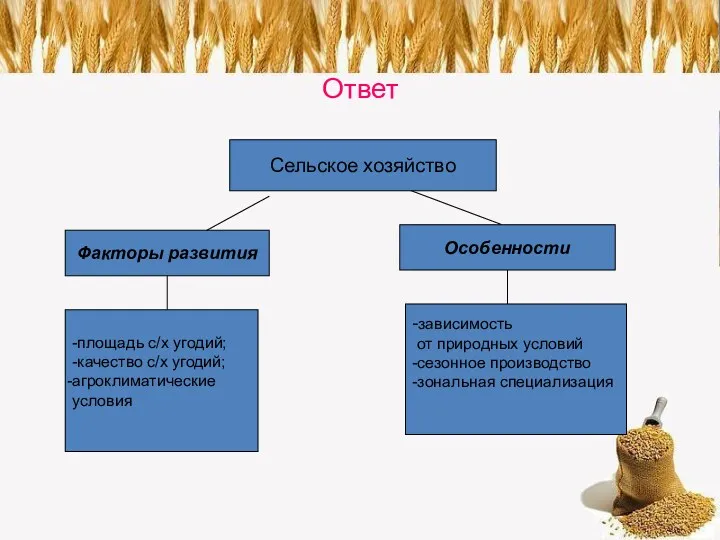 Ответ Сельское хозяйство Факторы развития Особенности -площадь с/х угодий; -качество с/х угодий; агроклиматические