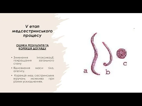 V етап медсестринського процесу ОЦІНКА РЕЗУЛЬТАТІВ ТА КОРЕКЦІЯ ДОГЛЯДУ Зникнення