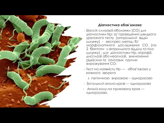 Діагностика обов’язкова: Біопсія слизової оболонки (СО) для діагностики Нр: а/