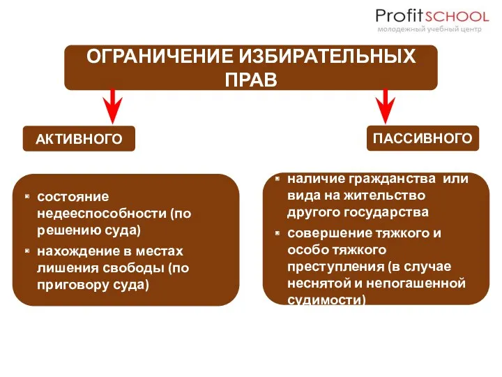 ОГРАНИЧЕНИЕ ИЗБИРАТЕЛЬНЫХ ПРАВ АКТИВНОГО ПАССИВНОГО состояние недееспособности (по решению суда)