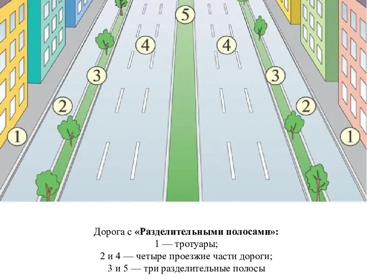 Дорога с «Разделительными полосами»: 1 — тротуары; 2 и 4