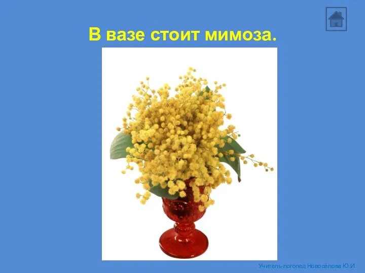 В вазе стоит мимоза. Учитель-логопед Новосёлова Ю.И.
