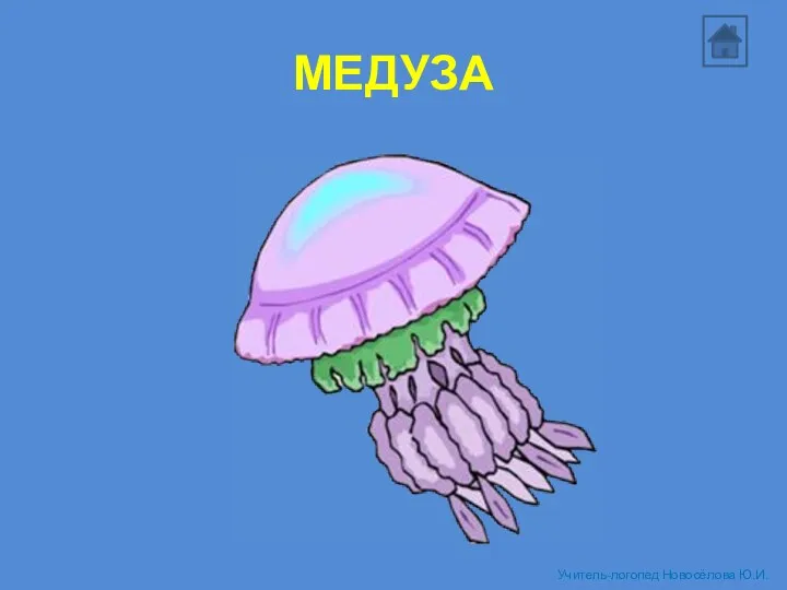 МЕДУЗА Учитель-логопед Новосёлова Ю.И.
