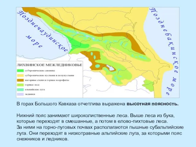 В горах Большого Кавказа отчетлива выражена высотная поясность. Нижний пояс