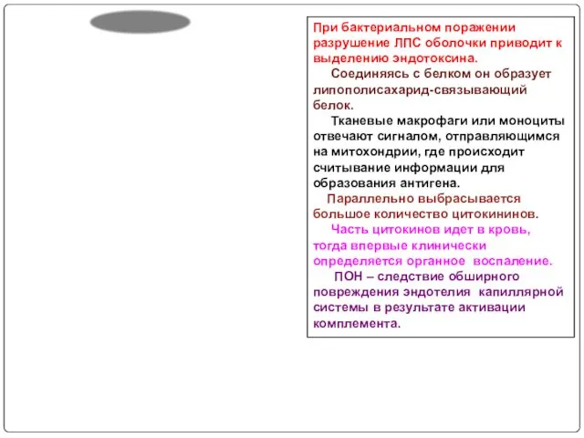 При бактериальном поражении разрушение ЛПС оболочки приводит к выделению эндотоксина. Соединяясь с белком
