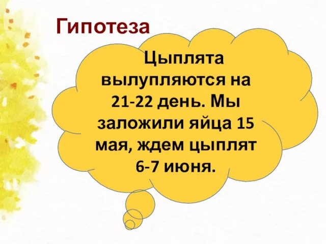 Гипотеза Цыплята вылупляются на 21-22 день. Мы заложили яйца 15 мая, ждем цыплят 6-7 июня.