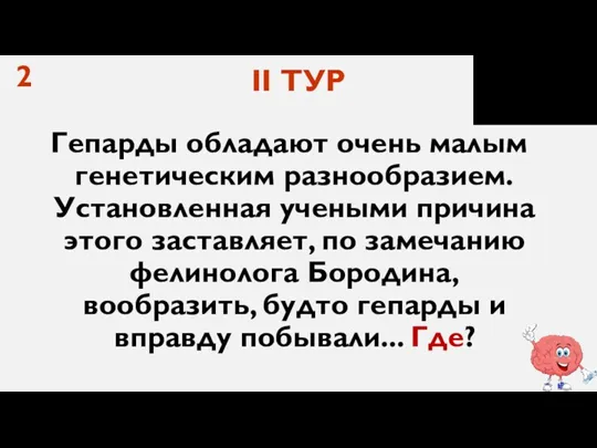 2 Гепарды обладают очень малым генетическим разнообразием. Установленная учеными причина