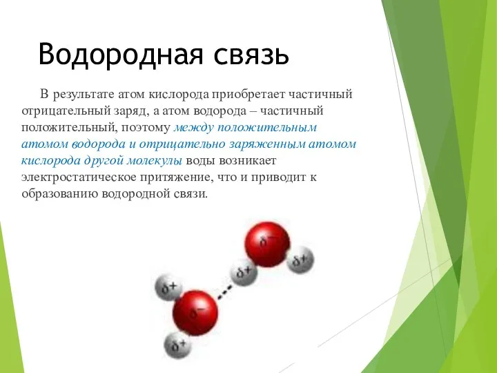 Водородная связь В результате атом кислорода приобретает частичный отрицательный заряд,