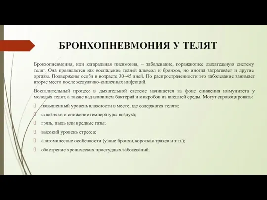 БРОНХОПНЕВМОНИЯ У ТЕЛЯТ Бронхопневмония, или катаральная пневмония, – заболевание, поражающее