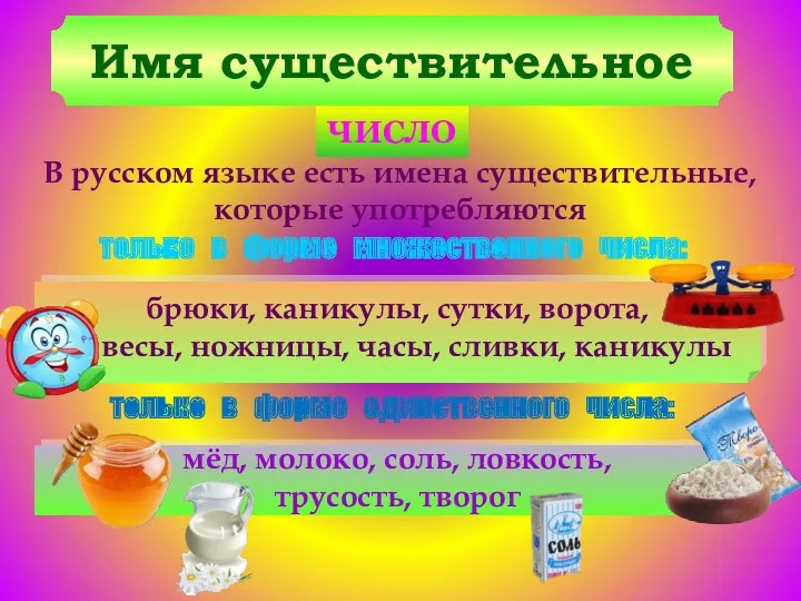 Имя существительное ЧИСЛО В русском языке есть имена существительные, которые употребляются брюки, каникулы,