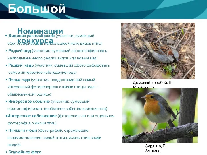 Видовое разнообразие (участник, сумевший сфотографировать наибольшее число видов птиц) Редкий вид (участник, сумевший