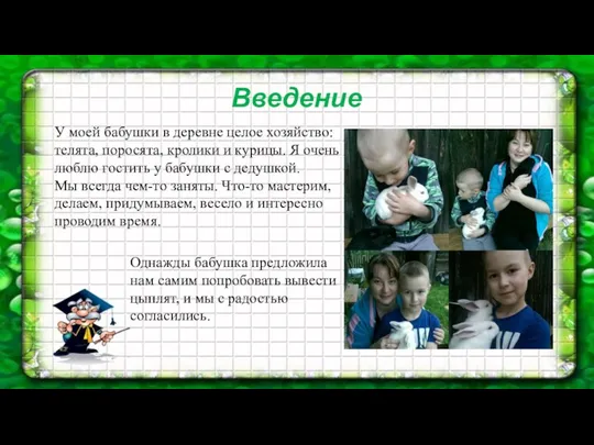 Введение У моей бабушки в деревне целое хозяйство: телята, поросята,