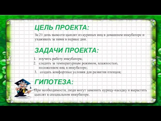 За 21 день вывести цыплят из куриных яиц в домашнем