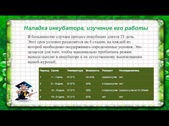 В большинстве случаев процесс инкубации длится 21 день. Этот срок