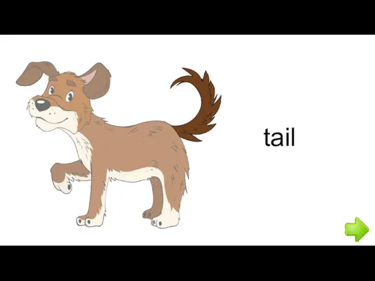 tail