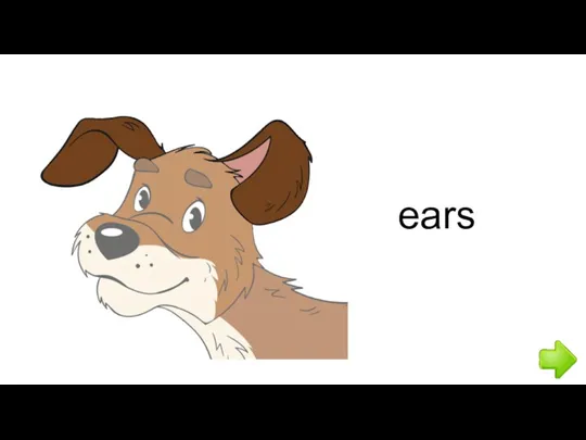 ears
