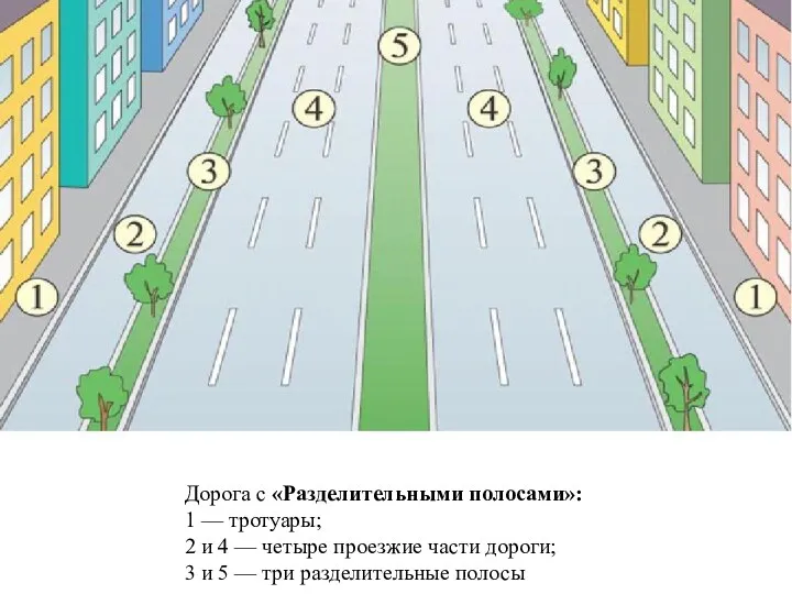 Дорога с «Разделительными полосами»: 1 — тротуары; 2 и 4