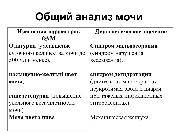 Общий анализ мочи