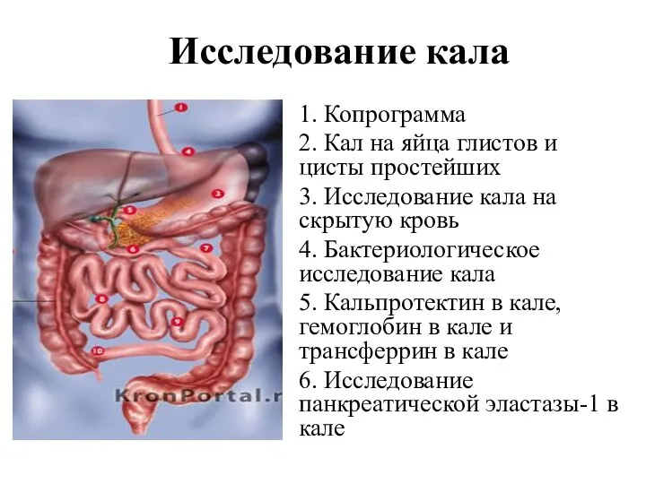 Исследование кала 1. Копрограмма 2. Кал на яйца глистов и