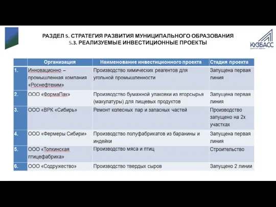 РАЗДЕЛ 5. СТРАТЕГИЯ РАЗВИТИЯ МУНИЦИПАЛЬНОГО ОБРАЗОВАНИЯ 5.3. РЕАЛИЗУЕМЫЕ ИНВЕСТИЦИОННЫЕ ПРОЕКТЫ