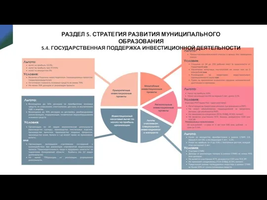 РАЗДЕЛ 5. СТРАТЕГИЯ РАЗВИТИЯ МУНИЦИПАЛЬНОГО ОБРАЗОВАНИЯ 5.4. ГОСУДАРСТВЕННАЯ ПОДДЕРЖКА ИНВЕСТИЦИОННОЙ ДЕЯТЕЛЬНОСТИ