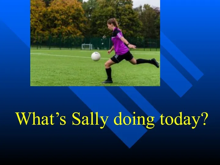 What’s Sally doing today?