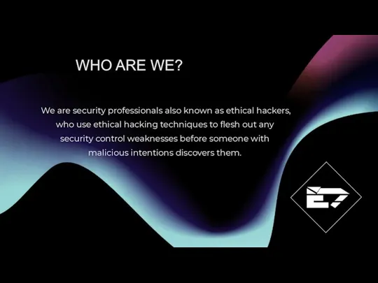 We are security professionals also known as ethical hackers, who