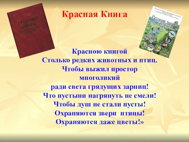 Красная Книга Красною книгой Столько редких животных и птиц. Чтобы