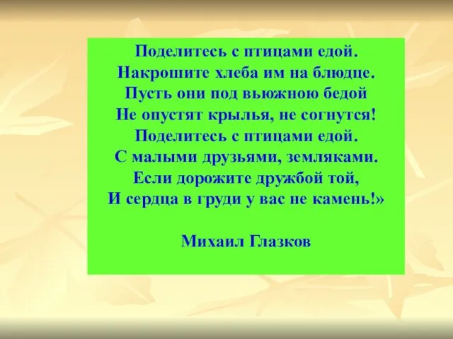 « Поделитесь с птицами едой. Накрошите хлеба им на блюдце.