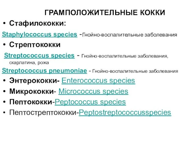 ГРАМПОЛОЖИТЕЛЬНЫЕ КОККИ Стафилококки: Staphylococcus species -Гнойно-воспалительные заболевания Стрептококки Streptococcus species - Гнойно-воспалительные заболевания,