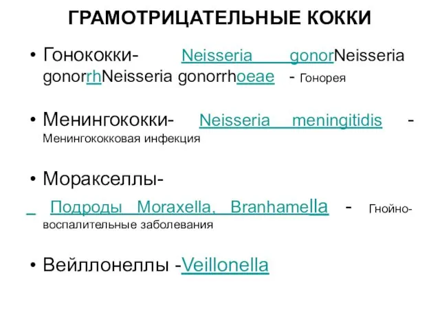 ГРАМОТРИЦАТЕЛЬНЫЕ КОККИ Гонококки- Neisseria gonorNeisseria gonorrhNeisseria gonorrhoeae - Гонорея Менингококки- Neisseria meningitidis -Менингококковая