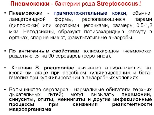 Пневмококки - бактерии рода Streptococcus.! Пневмококки - грамположительные кокки, обычно