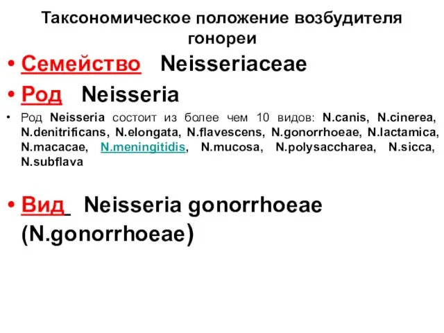 Таксономическое положение возбудителя гонореи Семейство Neisseriaceae Род Neisseria Род Neisseria состоит из более